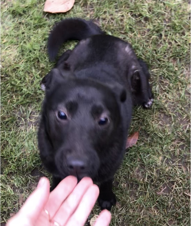 717B0F76-56AE-4062-97AF-AA937981C30A