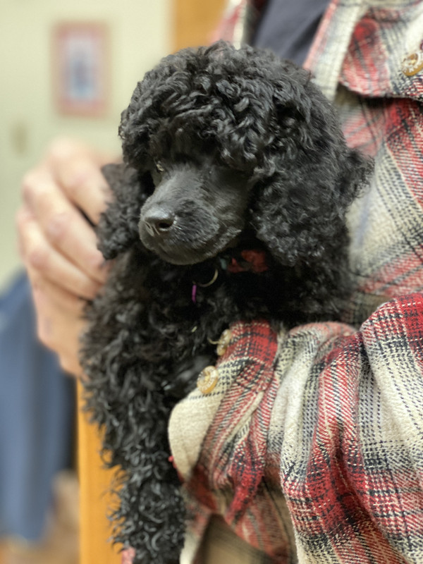 F987662A-7A8E-433D-9C3F-A57B3EE49F25_1_201_a