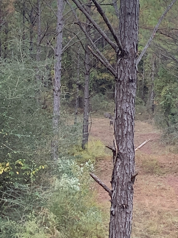 960C96EB-048E-441F-A8D2-C2050E740CB7