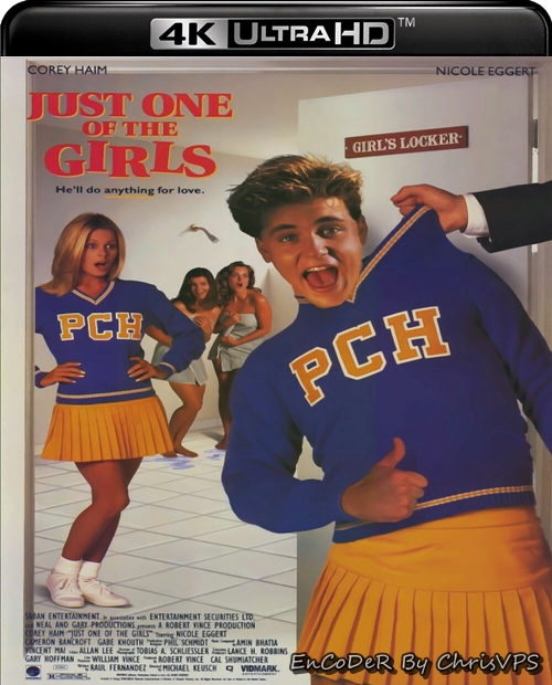 Po prostu chłopak / Just One of the Guys (1985) MULTI.HDR.2160p.BDRemux.DTS.HD.MA.AC3-ChrisVPS / LEKTOR i NAPISY