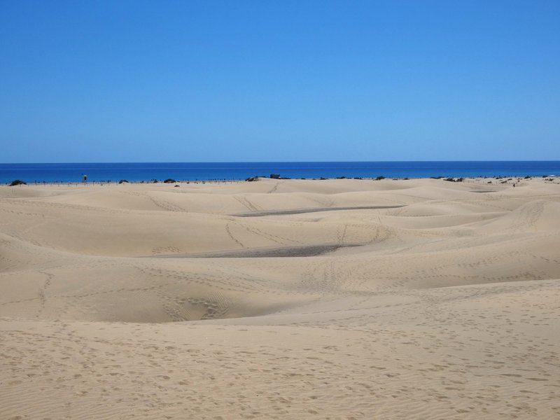 Maspalomas-6-4-2025 - Islas Canarias y sus pueblos-1991/2025 (17)