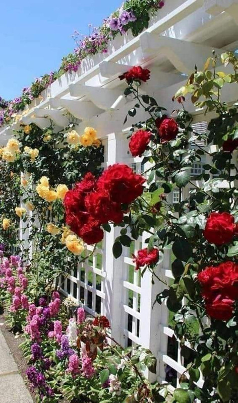 ٢٠٢١٠٦٠٣_٠٥٠٥٠٦