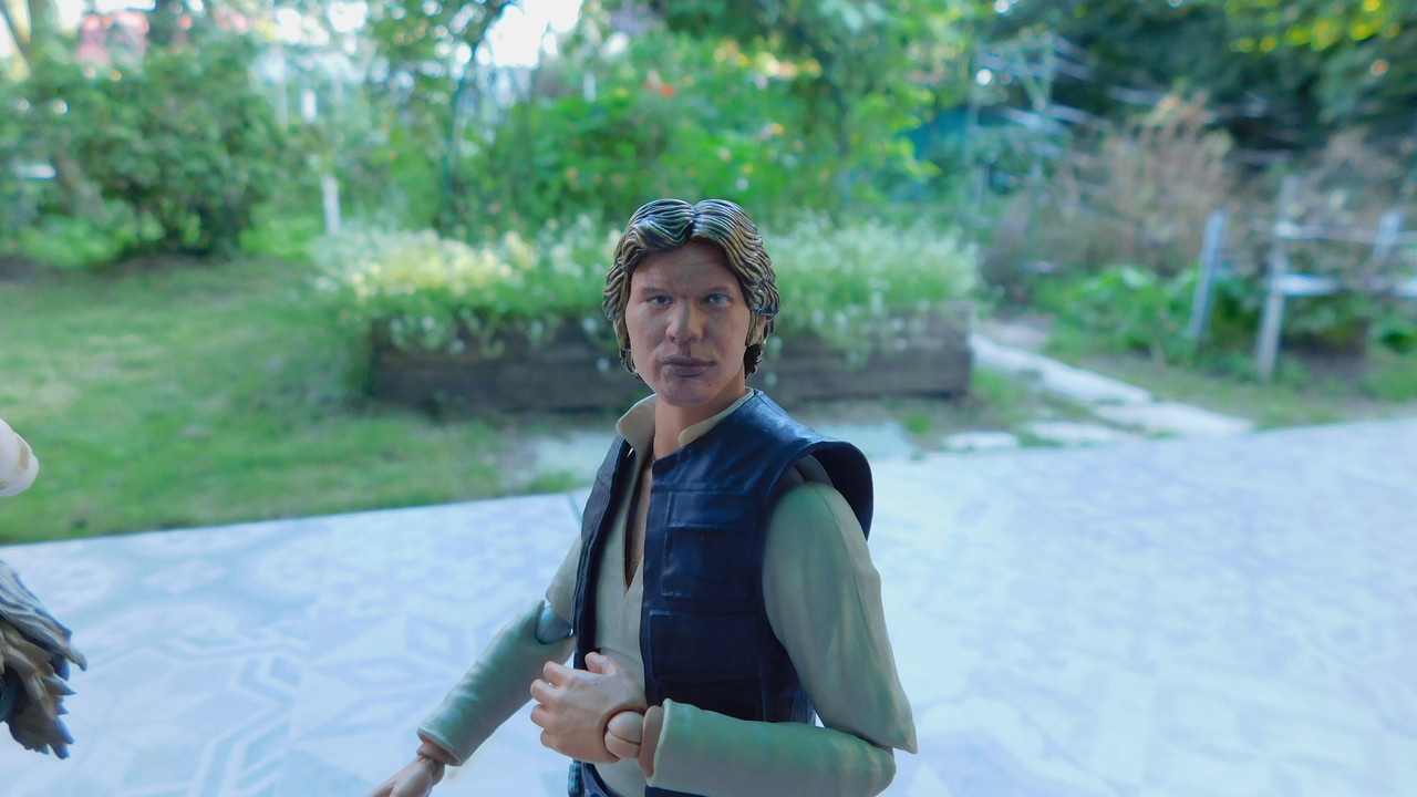 Дачно-барбейское июль, Харлинское 2-я серия 215