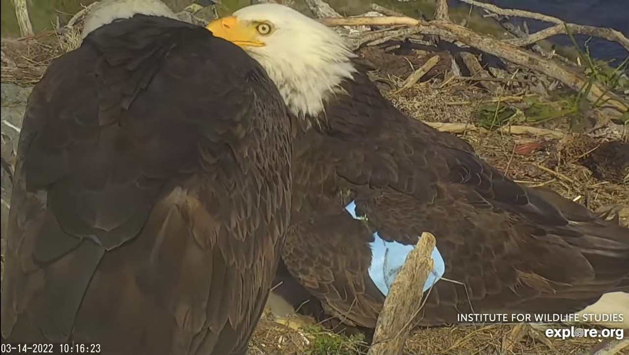 08662446-AFBB-482B-BA89-3614EB38E199