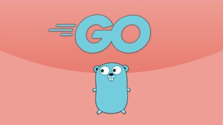 Le langage Go | Formation complète