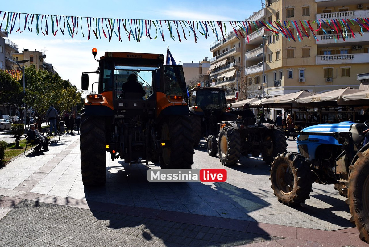 agrotes-DSC-0885