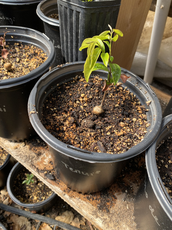 17B19BCC-FF09-49B3-AD44-61786F8B590B