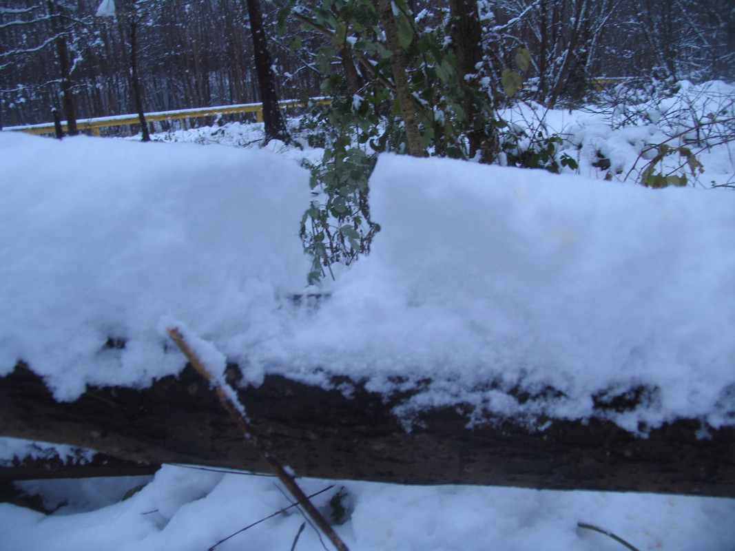 Ноябрь2023 076