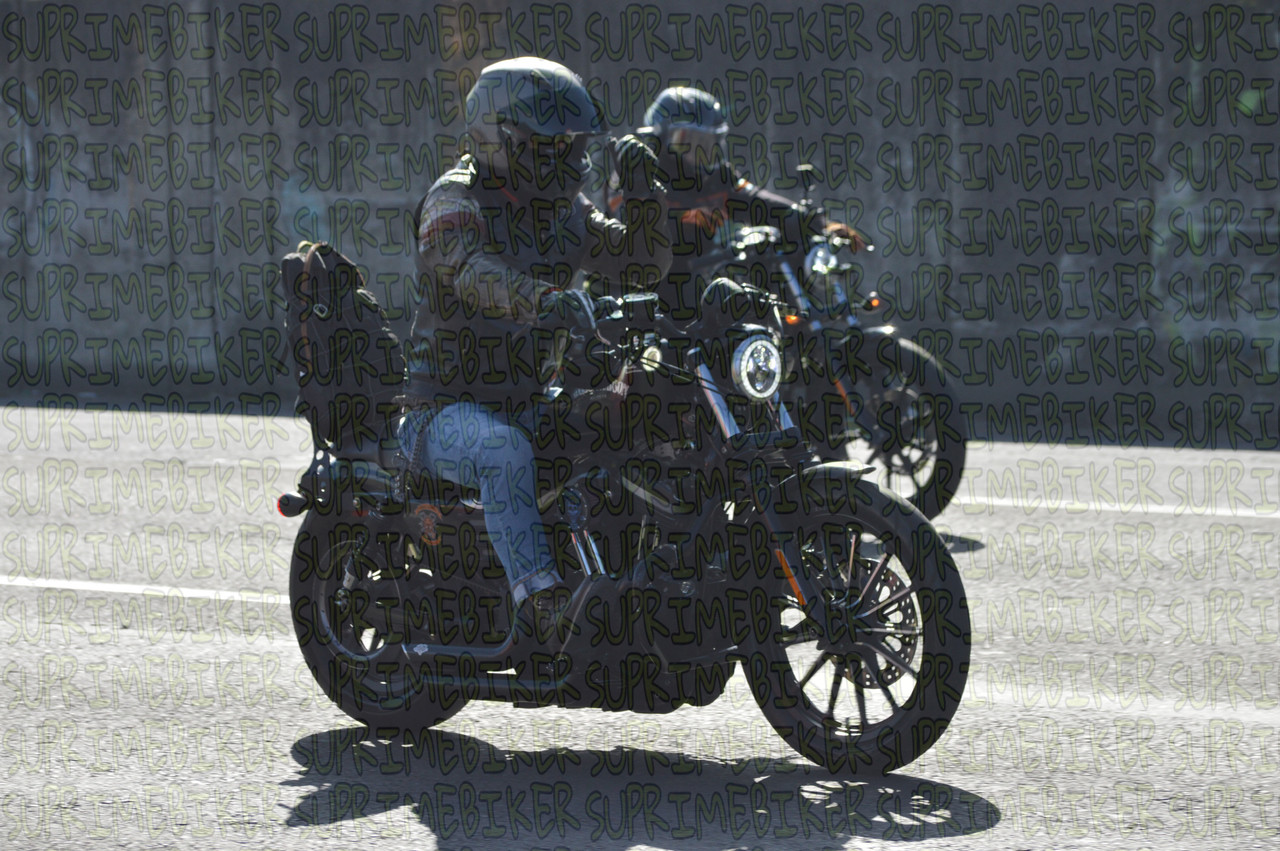 DSC 0230