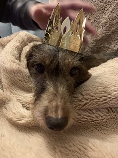 [Image: A4-E054-FF-B795-4-EBB-981-D-7-F27530769-F7.jpg]