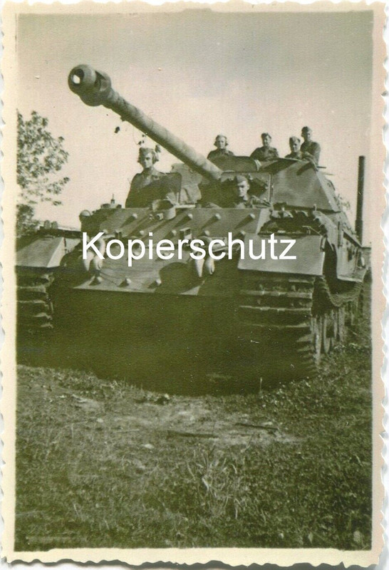 Panzerjäger Ferdinand  Elefant Jagdpanzer Tiger (P) SdKfz 184 (2)