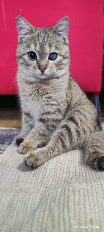 6D40ED67-F75D-42F9-BE6D-34DA296F4E32