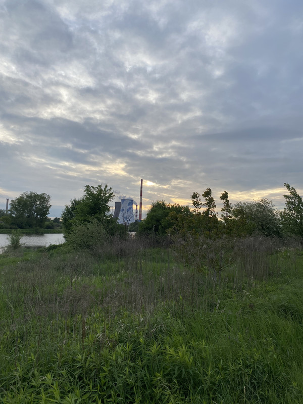 [Obrazek: IMG-5193.jpg]