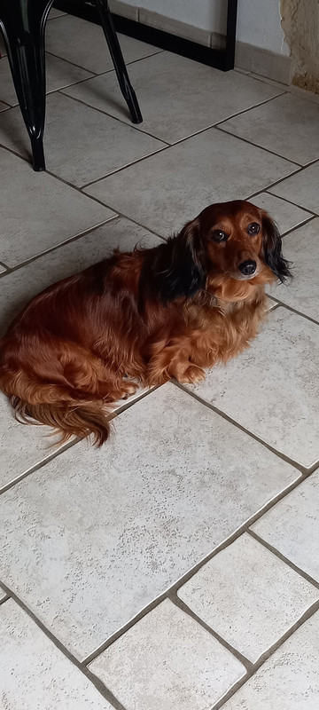 [Image: 20241007-161318.jpg]