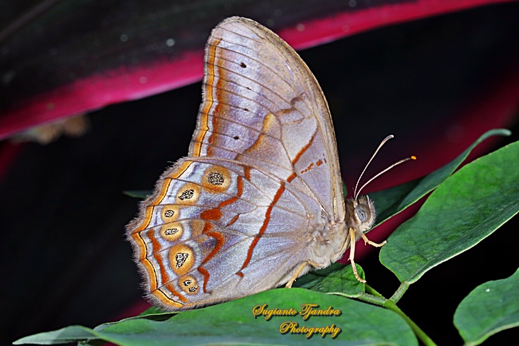 60BBE992-3661-413C-981F-286D0FA851E8