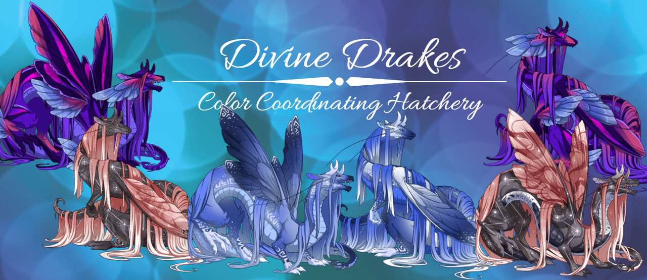 divine-drakes-cropped.png