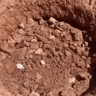 GIFs-2