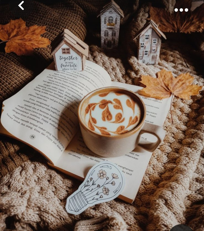 Screenshot_20231031_171037_Pinterest