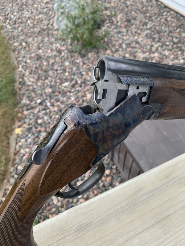 [Linked Image from i.postimg.cc]