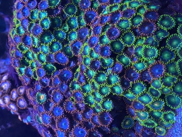 5FAE21DF-9E8E-49FD-87EF-CE98EE8C775B