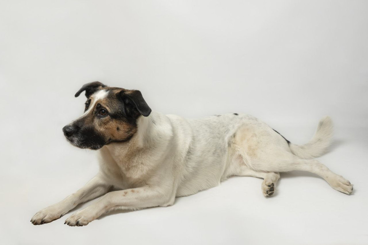 IMG_20240318_111831_805