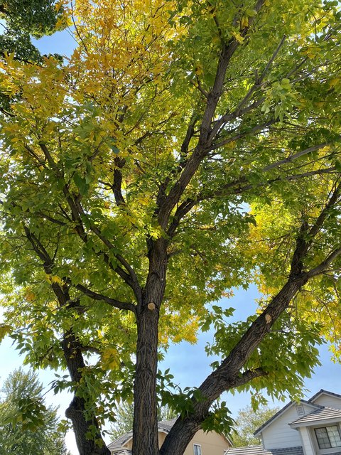 [Image: D673-E806-531-E-4-EF9-B9-CF-AF21-B741-D663.jpg]