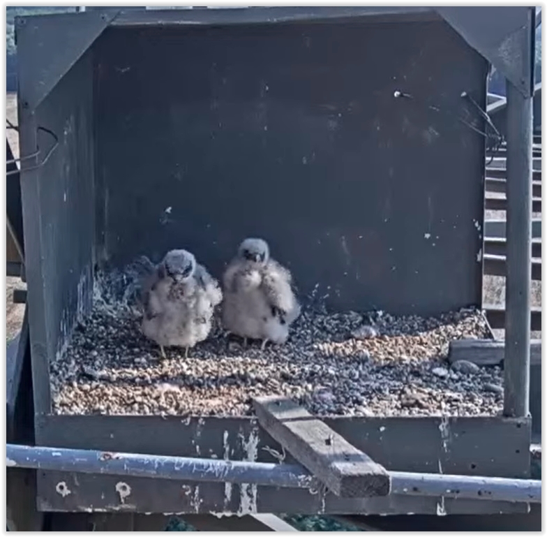 Screen Shot 07-30-22 at 09.06 AM