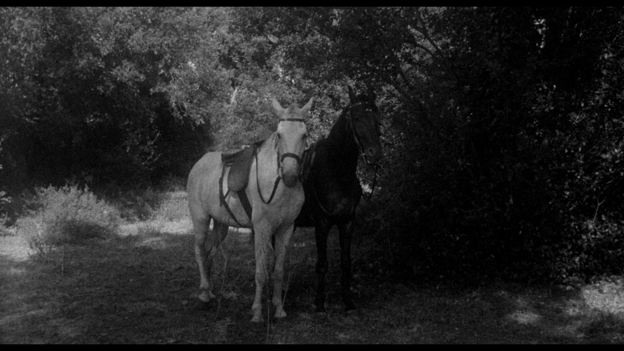 vlcsnap-2022-12-11-12h08m23s395