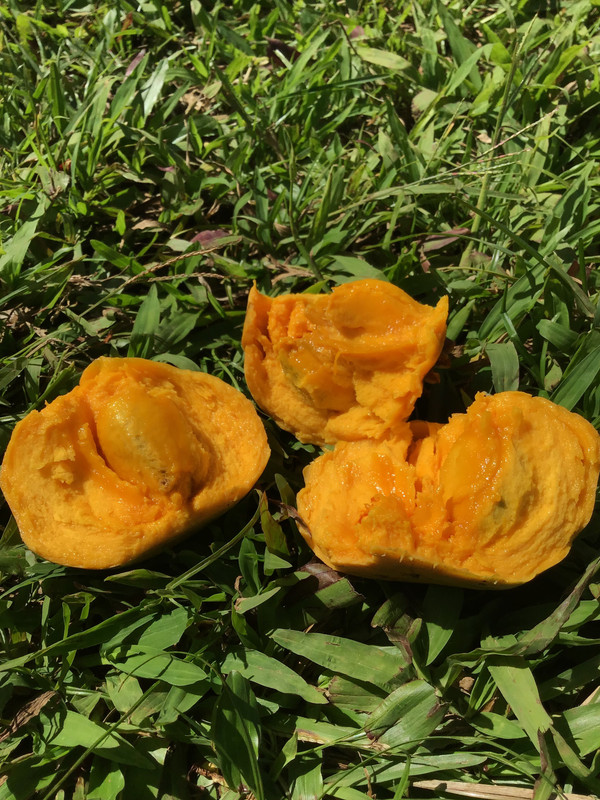 48A0691B-FBE7-42C2-A6B8-194F35BC901E