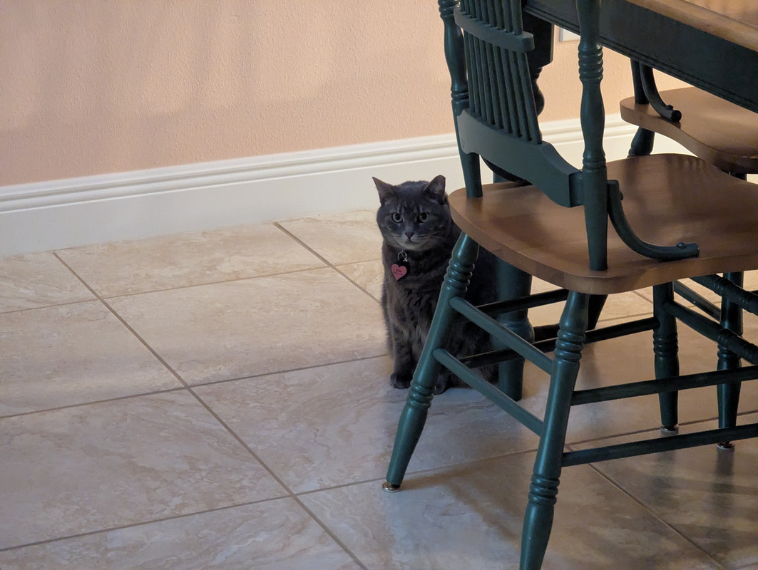 PXL_20250703_002657377