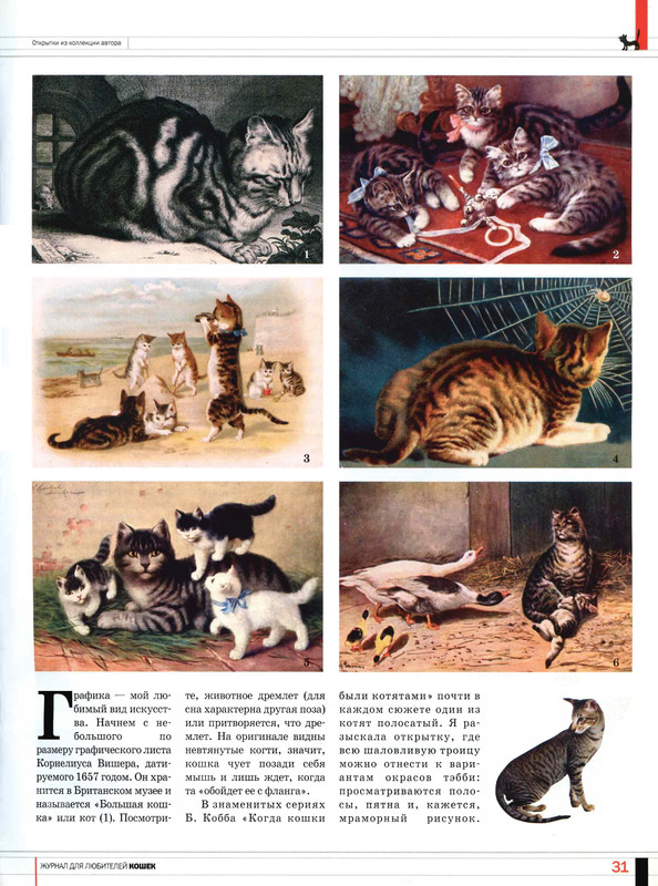 Друг кошек 2005-08-30