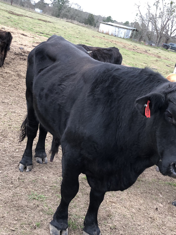 39AD8876-832C-40A2-A058-9E99E944280E