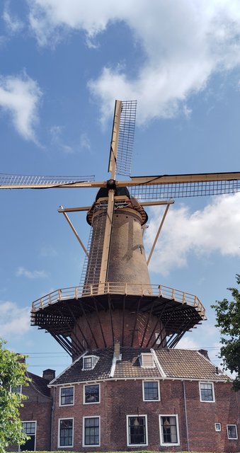 Escapada por Amsterdam - La Haya - Delft - Rotterdam - Leiden - Londres - Blogs de Europa - Museo Mauritshuis, decepcionante Depot Boijmans y callejeo por Delft y Leiden (89)