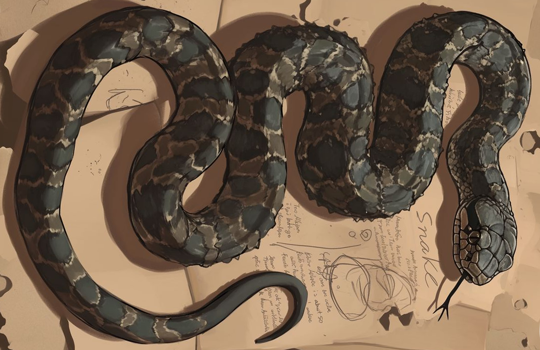 sideways-snake.png