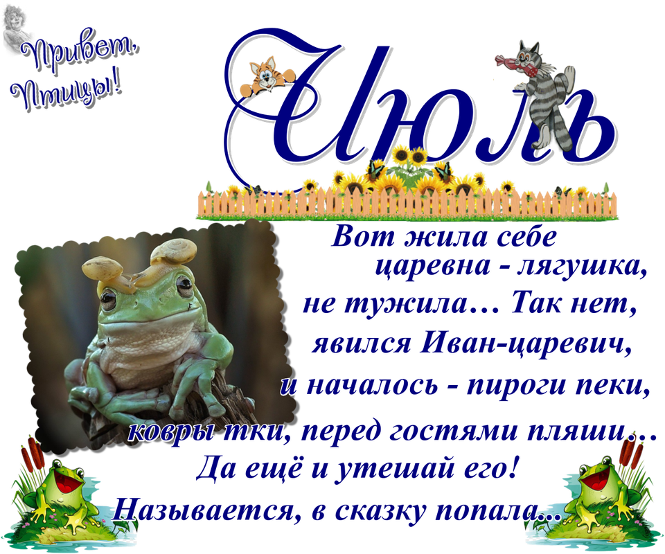 https://i.postimg.cc/15nvWyy0/09-07.png