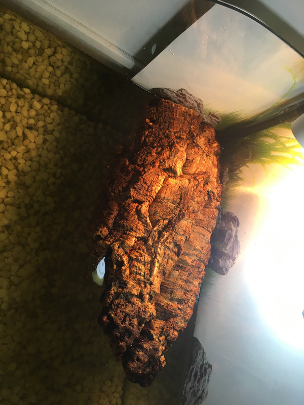 7A97CEA1-65CE-41D2-9C47-4380E3BEC3DC