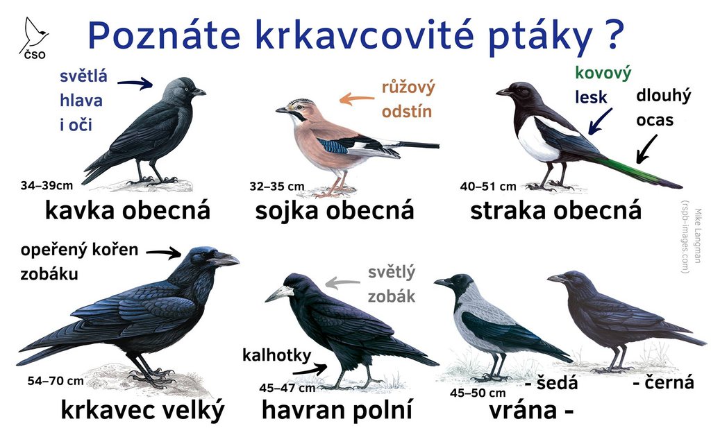 156960122-10164866662720052-1637739113446265381-o.jpg