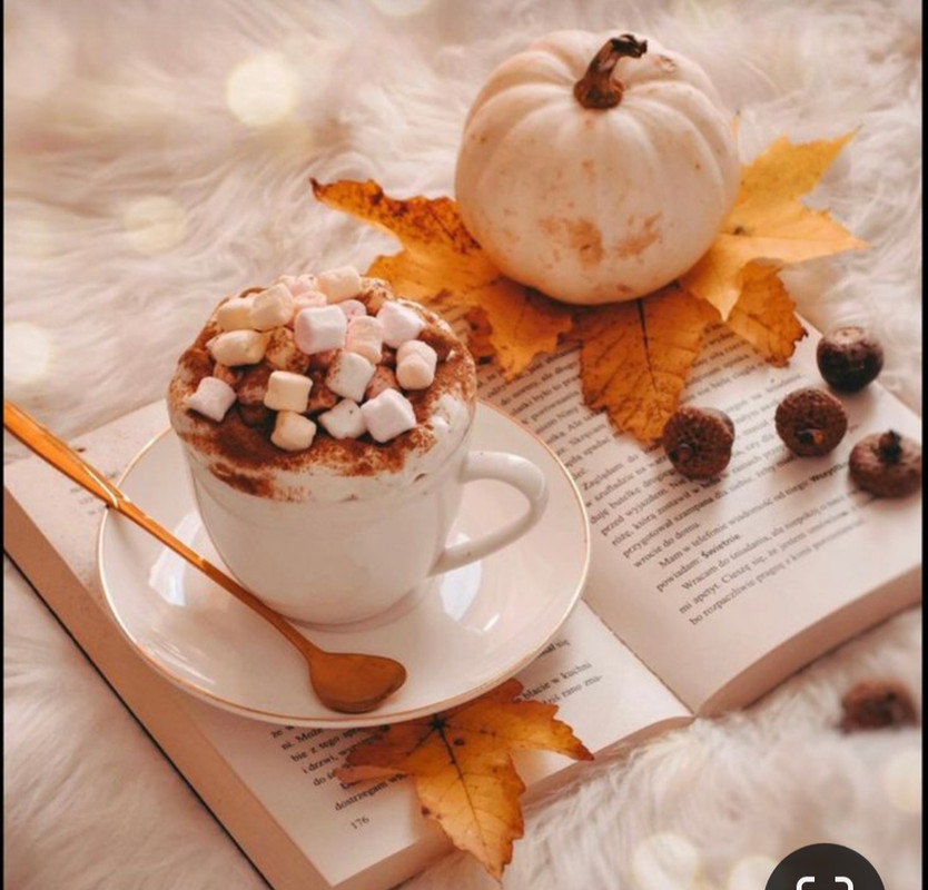 Screenshot_20231031_212820_Pinterest