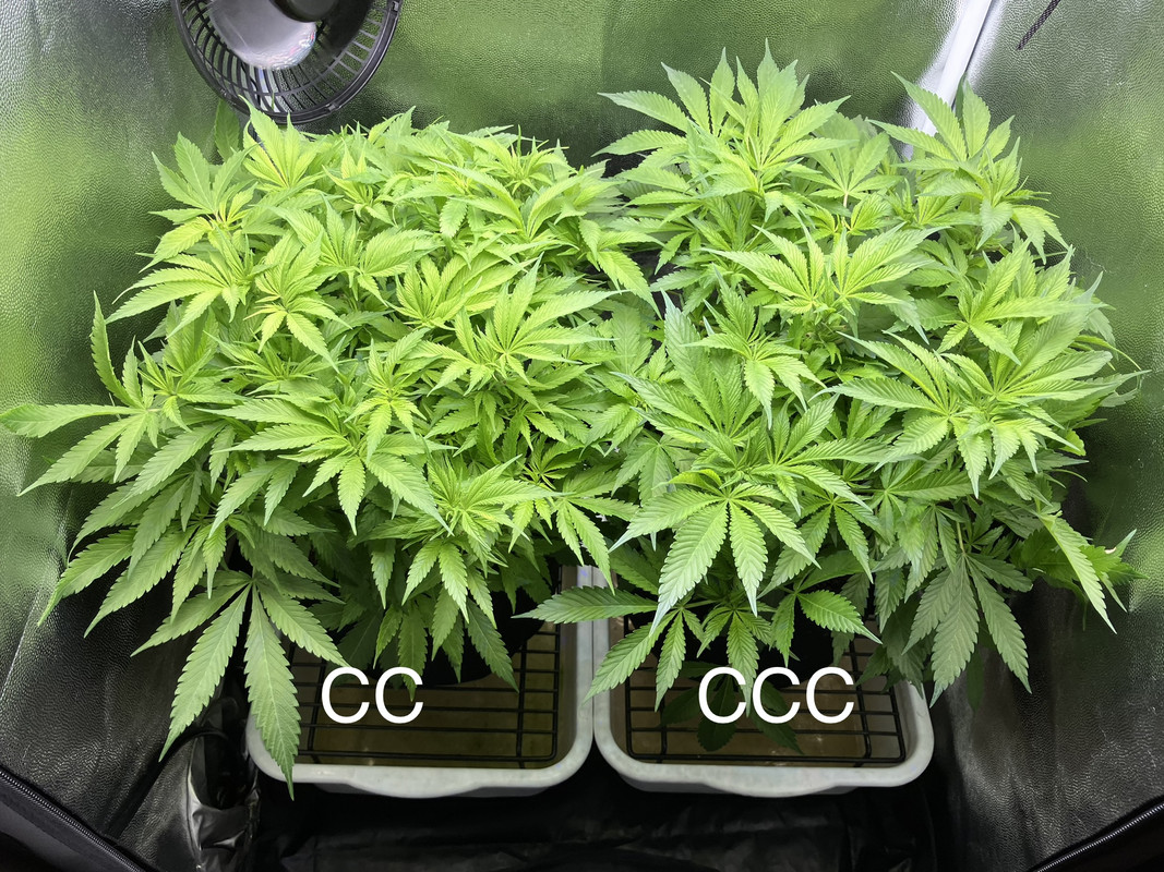 36F2E001-63C5-4BF7-985F-B5214B68FF0F