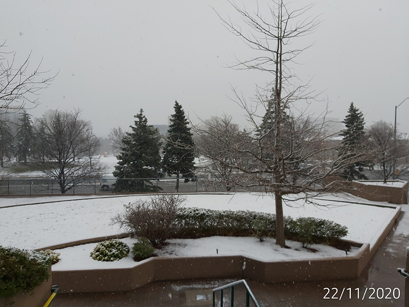 [Image: IMG-20201122-120607.jpg]