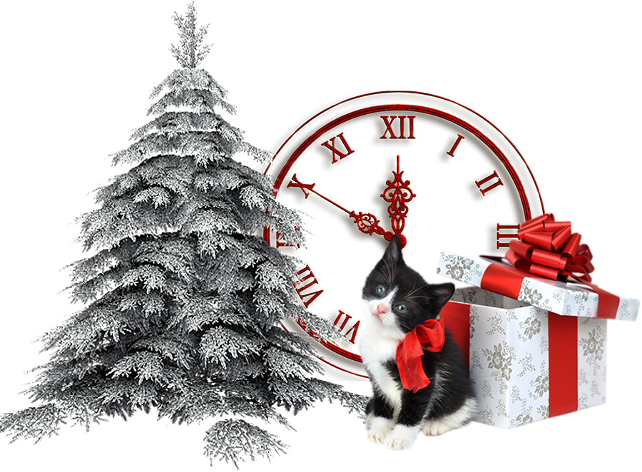 53 (2)jjnhhhhj4,nkjjjkk