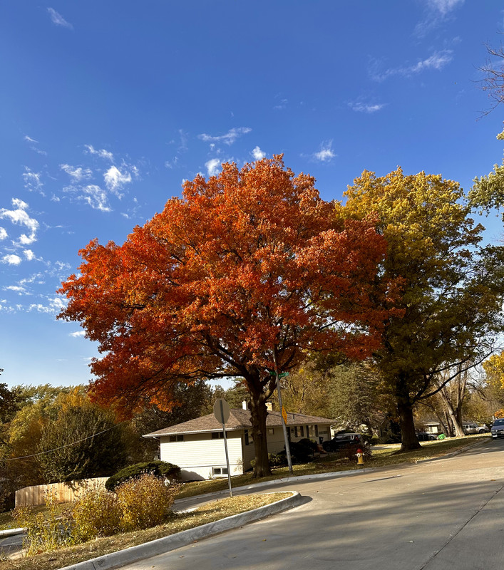 34950B81-B2AE-4B14-99CE-6F78CBFDCFEF