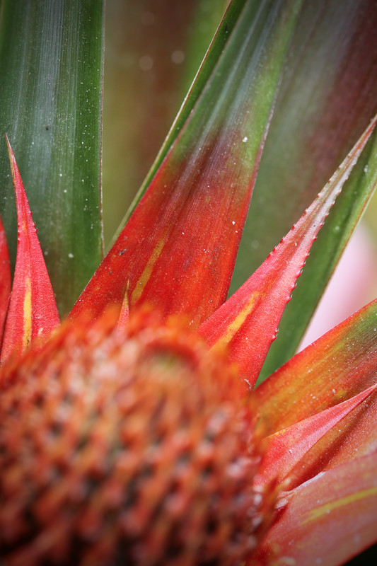 5FF16F8B-97A9-4F1B-9EA3-F01F9FC2C309_1_201_a