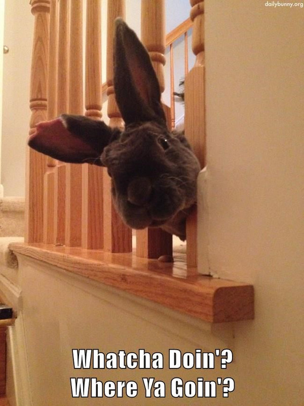 whatcha-doin-where-ya-goin