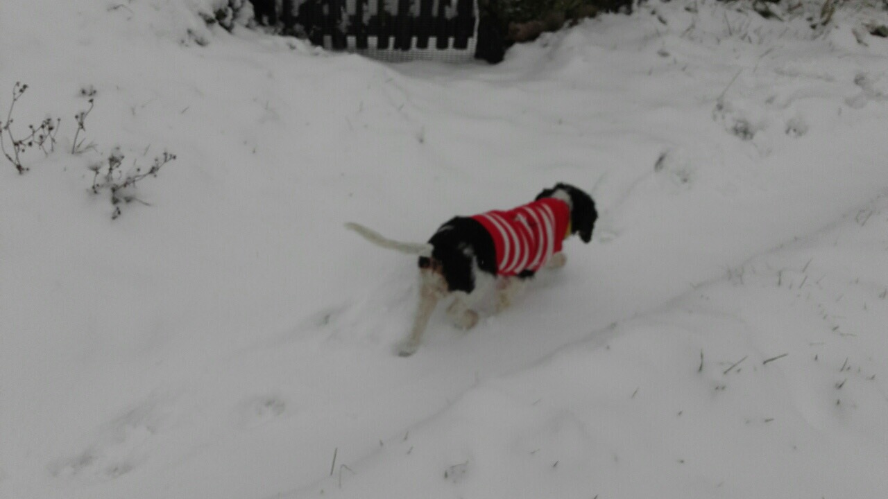 1DD9C3DC-0BBF-4532-B4C6-25AC8B03A6F5