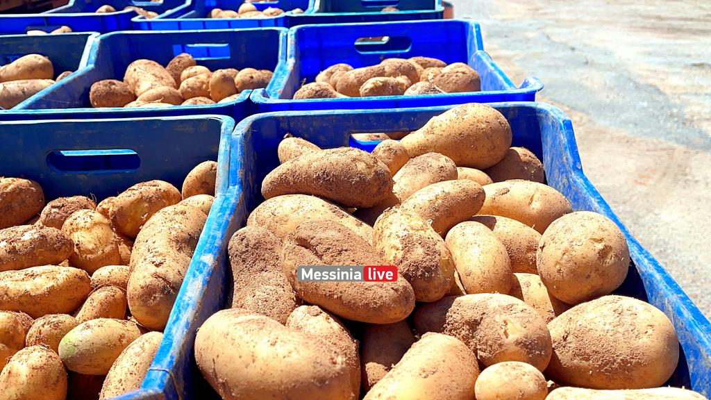 goumas-patates-IMG-5614