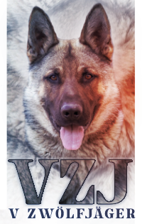 Severn  V Zwölfjäger