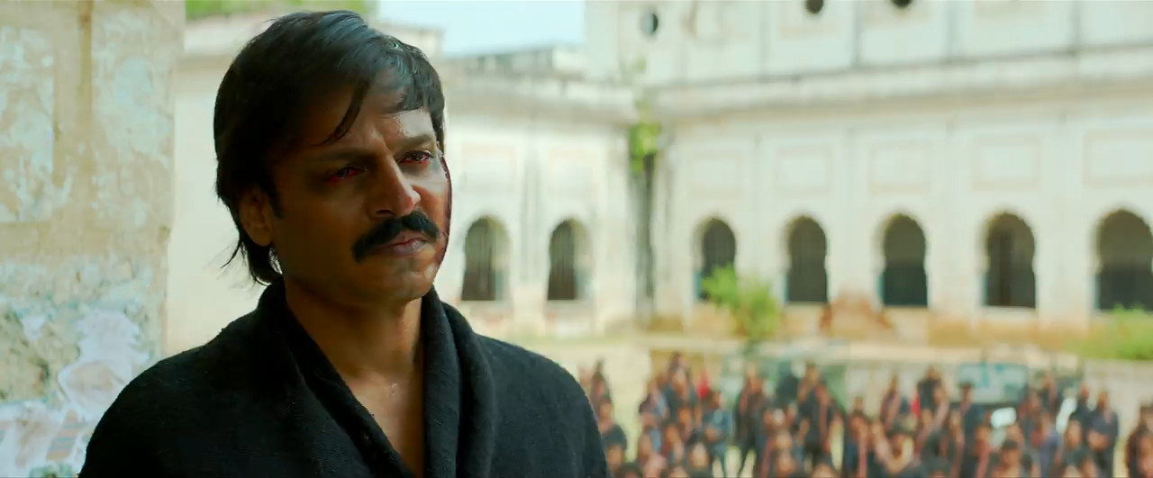 Vinaya Vidheya Rama 2019 WebRip [Hindi + Telugu] 480p, 720p ESub Screenshot