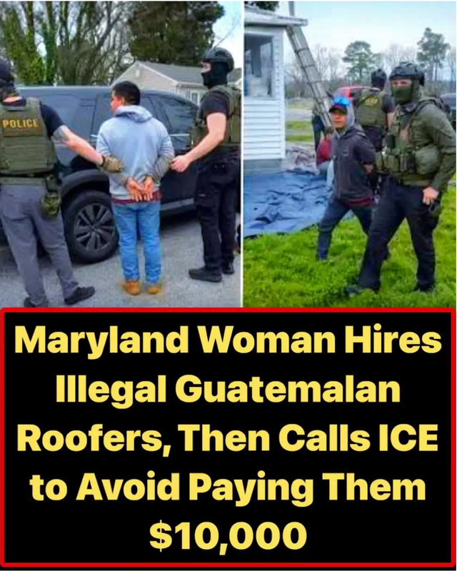 Screenshot 2026 06 21 at 08 36 38 Meme Political Page 1432 Yellow Bullet Forums