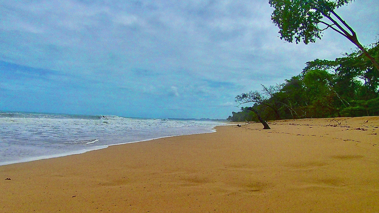 766404C8-E9EC-4BEB-9782-C3A390FDAD1C